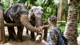 Frau füttert Elefanten im Elefantenpark in Krabi