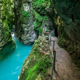 In der Schlucht, ein schmaler Wanderweg unter Felsen, auf denen Moos wächst.
