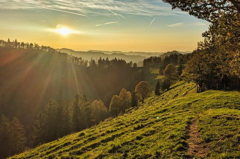 Landschaft im Sonnenlicht