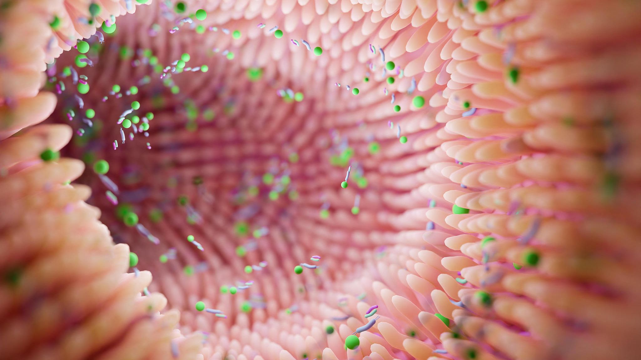 Illustration des Darminneren. Microvilli in der Darmwand nehmen Nährstoffe auf und bieten Lebensraum für Billionen von Bakterien, die wiederum die Verdauung unterstützen und unsere Gesundheit beeinflussen