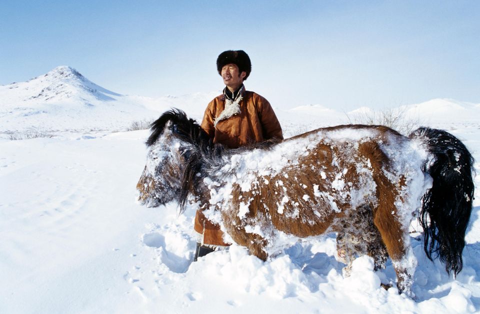 Ein Mongole steht im Schnee, auch sein Pferd ist von Schnee bedeckt Ein Mongole steht im Schnee, auch sein Pferd ist von Schnee bedeckt