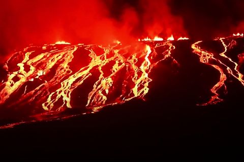 Vulkanausbruch: Eruption auf Galapagos gefährdet seltene Arten – und lässt die Nacht blutrot erstrahlen
