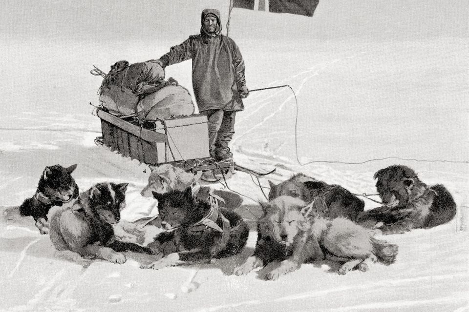 Amundsen lehnt am Schlitten, davor liegen Hunde.