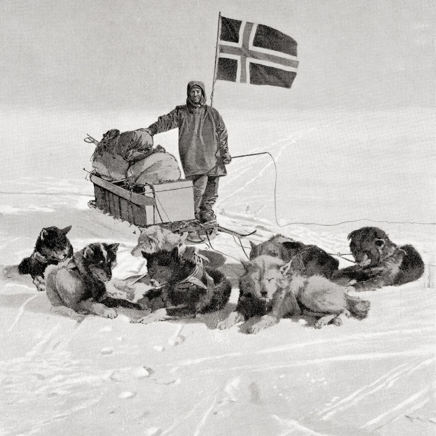 Amundsen lehnt am Schlitten, davor liegen Hunde.