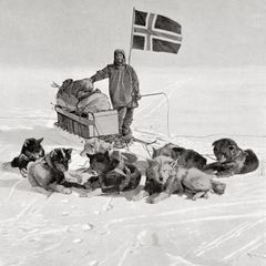 Amundsen lehnt am Schlitten, davor liegen Hunde.