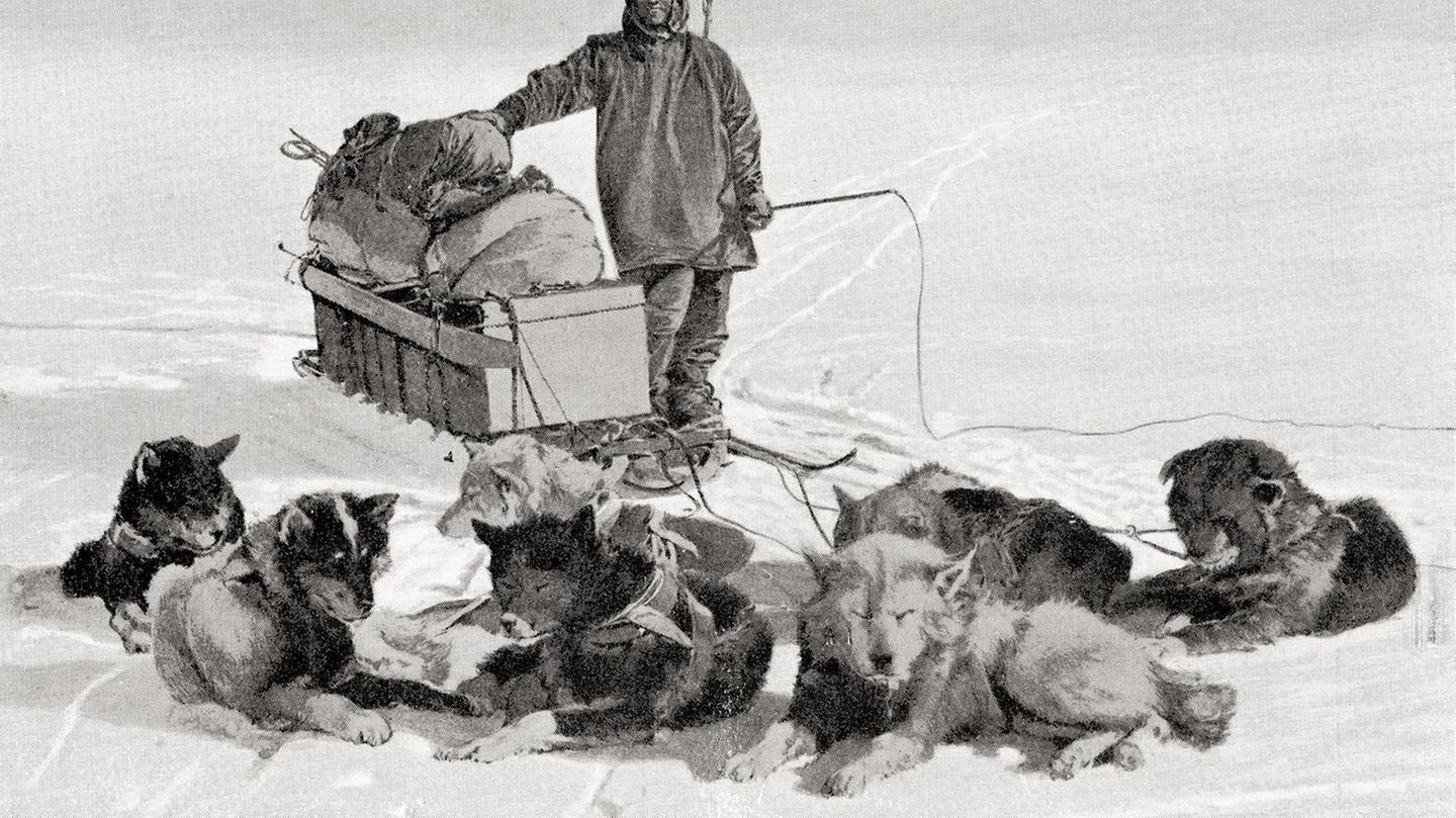 Amundsen lehnt am Schlitten, davor liegen Hunde.
