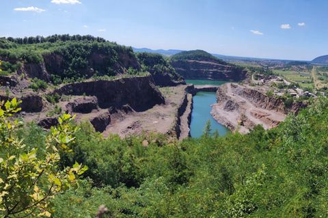 Landschaft grünen Büschen und See und Erde