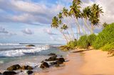 Weligama Strand mit Fischerstäben und Palmen