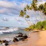 Weligama Strand mit Fischerstäben und Palmen