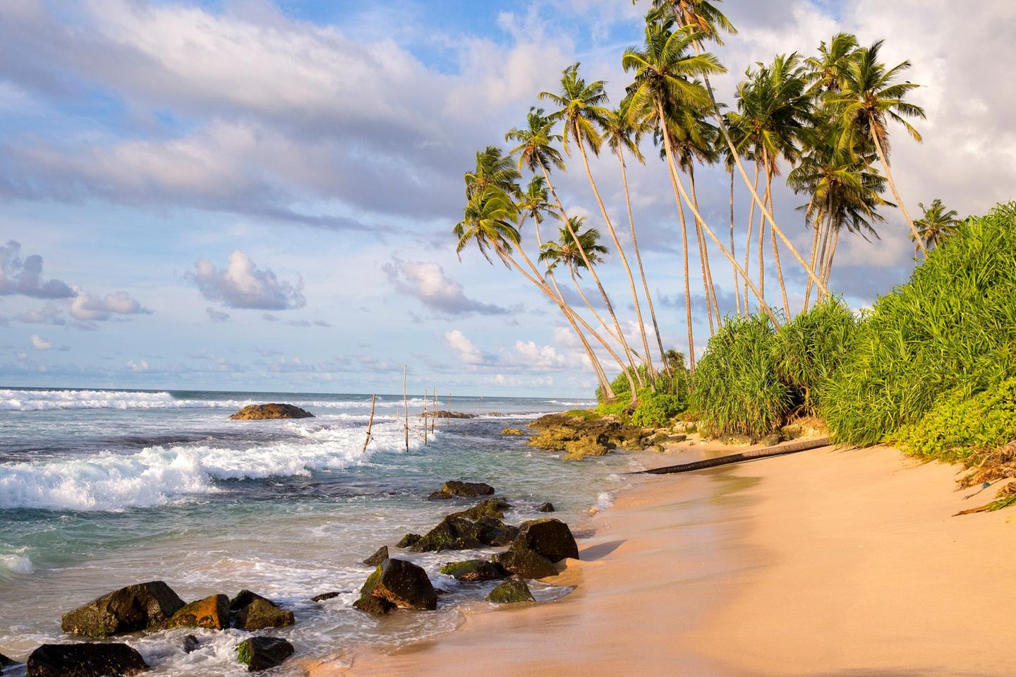 Sonnenbaden am Weligama Beach Weligama Strand mit Fischerstäben und Palmen