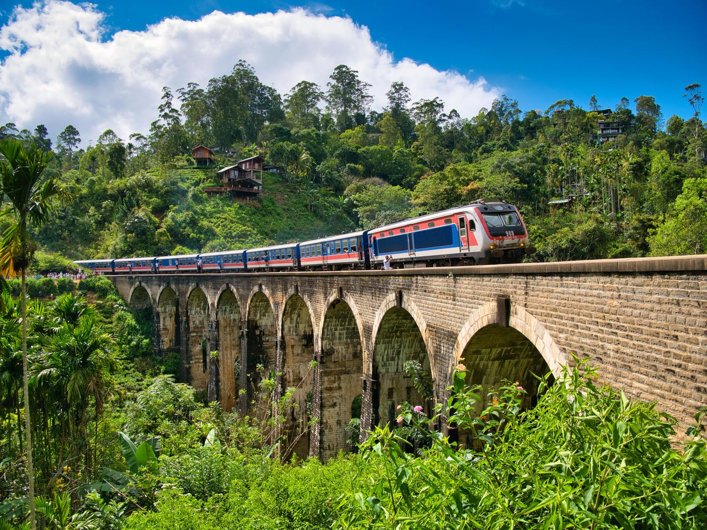 Zugfahrt durch die Natur bis nach Ella Nine Arches Bridge, touristische Zugstrecke