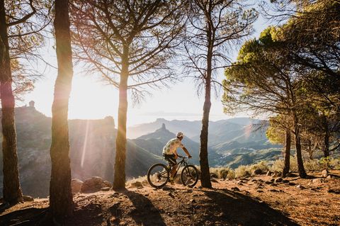 Fahrradfahrer im Wald