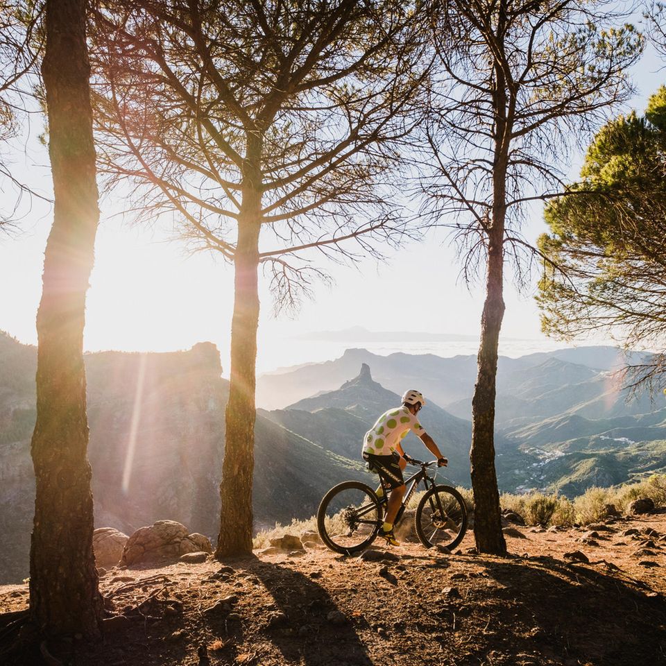 Fahrradfahrer im Wald