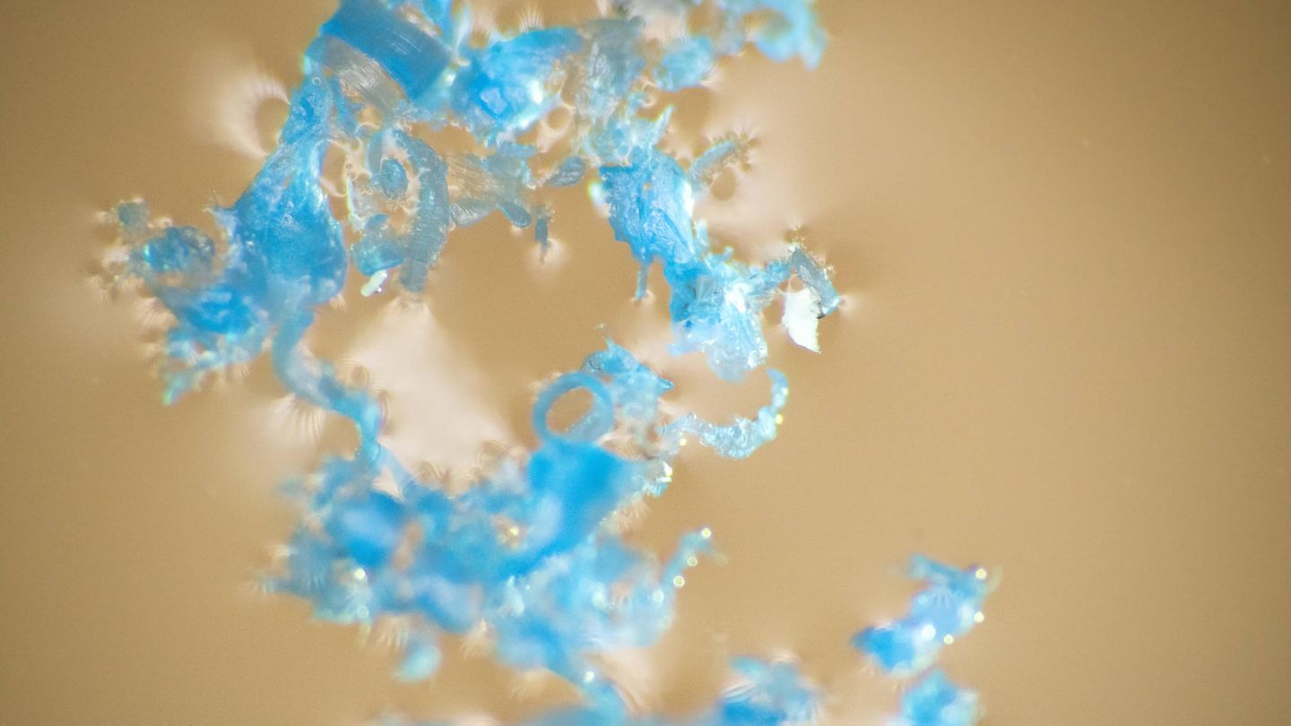 Nahaufnahme von Mikroplastik