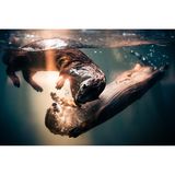 Auch im Zoo können beeindruckende Tierfotos entstehen, wie hier in Tyler im US-Bundesstaat Texas. Das Otterpärchen spielte zur "Golden Hour" – bei Sonnenuntergang – im Becken seines Geheges unter Wasser, als Jonathan McSwain dieses Bild gelang. 