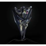 Fledermäuse und Flughunde sind die einzigen Säugetiere, die fliegen können. Doch ihre Flügel sind nicht stark genug, um vom Boden abzuheben. Die Tiere hängen kopfüber an Bäumen. Pedro Jarque Krebs fotografierte dieses baumelnde Duo und drehte das Bild dann in eine ungewohnte Perspektive. 