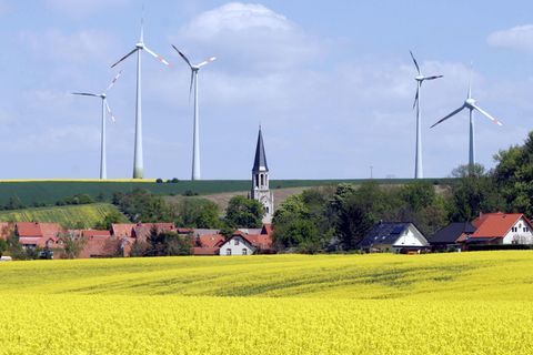 Kampf gegen Windmühlen: Die "grüne Windkraft-Lobby" zerstöre Natur und Umwelt, wettert die AfD