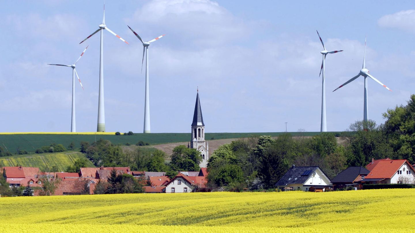 Kampf gegen Windmühlen: Die "grüne Windkraft-Lobby" zerstöre Natur und Umwelt, wettert die AfD