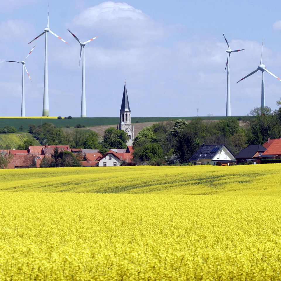 Kampf gegen Windmühlen: Die "grüne Windkraft-Lobby" zerstöre Natur und Umwelt, wettert die AfD