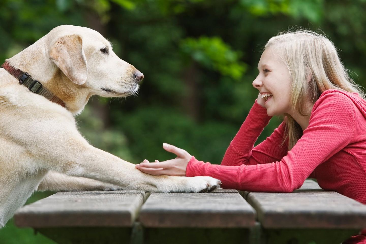 Mädchen und Hund schauen sich freundlich an