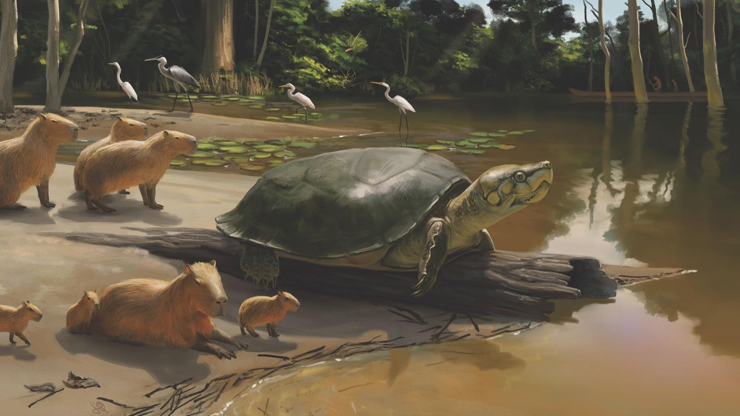Eine Schildkröte liegt auf einem Baumstamm am Ufer eines Flusses