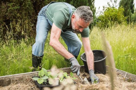 Mann bei der Gartenarbeit