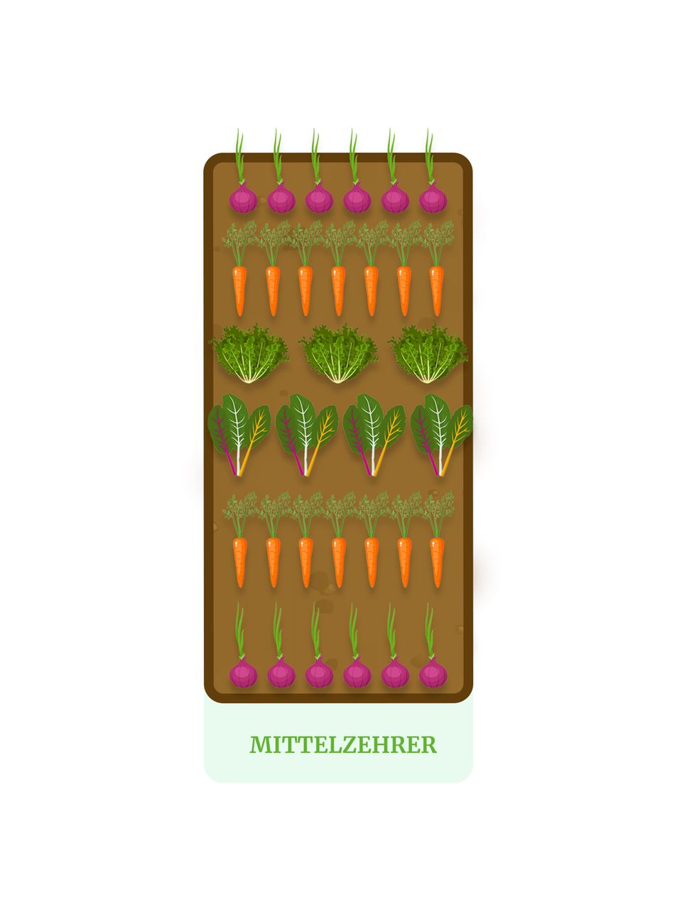 Hochbeet-Plan für Mittelzehrer