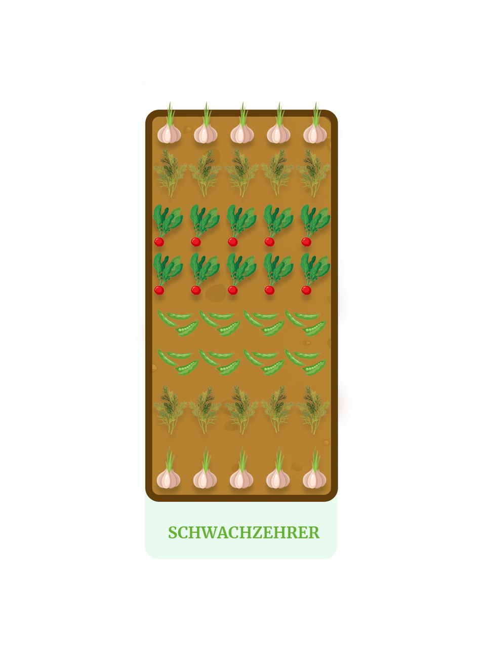Hochbeet bepflanzen Tipps und Jahresplan [GEO]