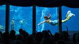 Meerjungfrau vor Zuschauern im Weeki Wachee Springs State Park