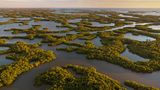 Everglades und Mangrovenlandschaft in Florida