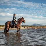 Reitende Frau im seichten Meerwasser am Strand