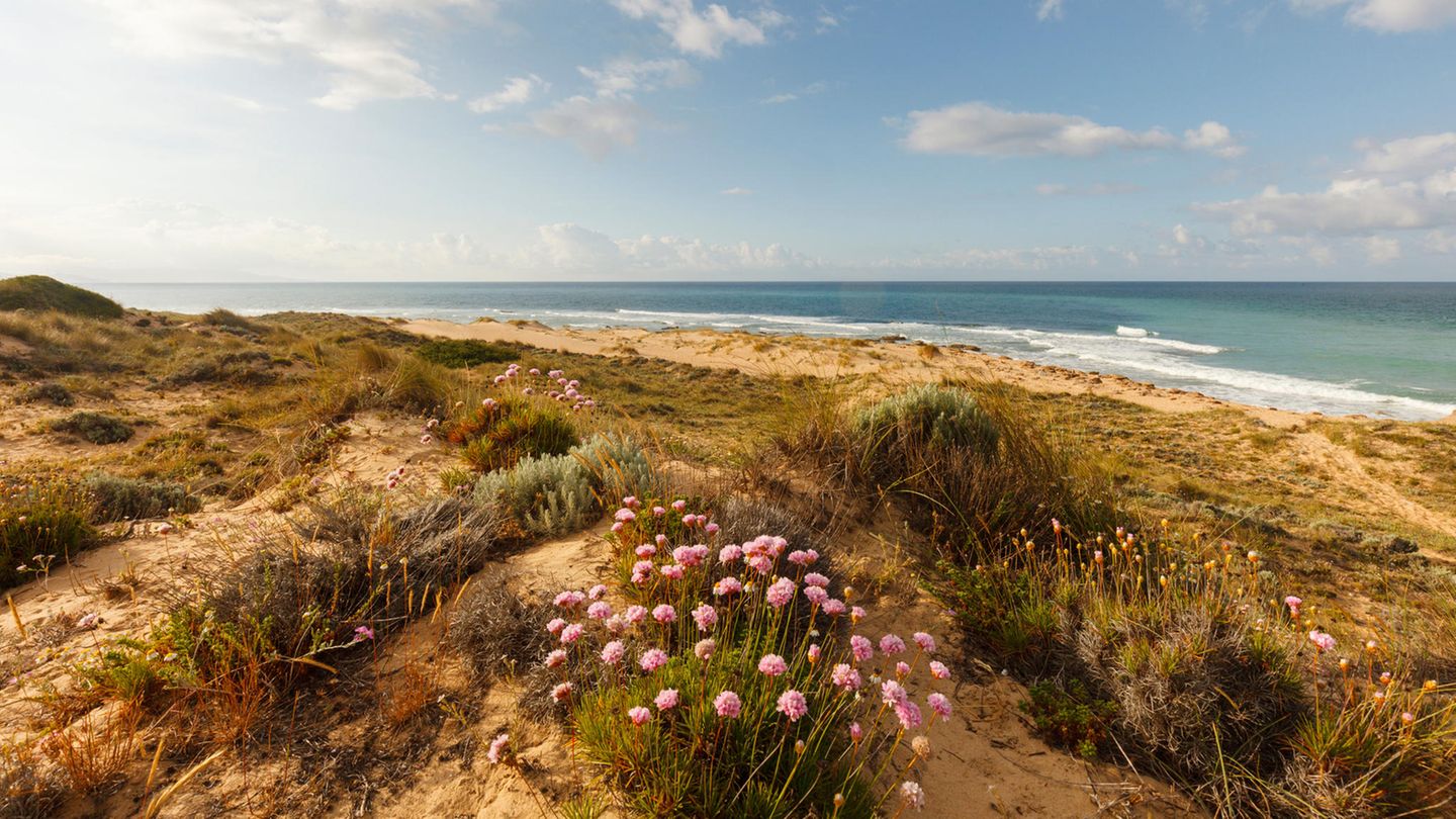 Costa de la Luz Spaniens wilde Küste [GEO]