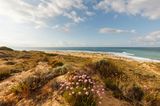 Strandbucht mit Grasnelken im Vordergrund