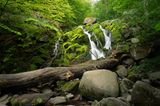 Døndalen Waserfall, umgeben von Moos