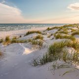 Strandbildaufnahme von Dueodde mit Dünengras und Meer
