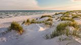 Strandbildaufnahme von Dueodde mit Dünengras und Meer
