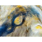 In der Dürre der Sommermonate sinkt der Wasserstand im Yarışlı-See der türkischen Provinz Burdur. Manchmal sogar so weit, dass er vollkommen austrocknet und nur ein salziges Moor hinterlässt. Vögel auf der Suche nach Nahrung erzeugen auf ihrer Wanderung interessante Formen auf dem ausgetrockneten Seeboden