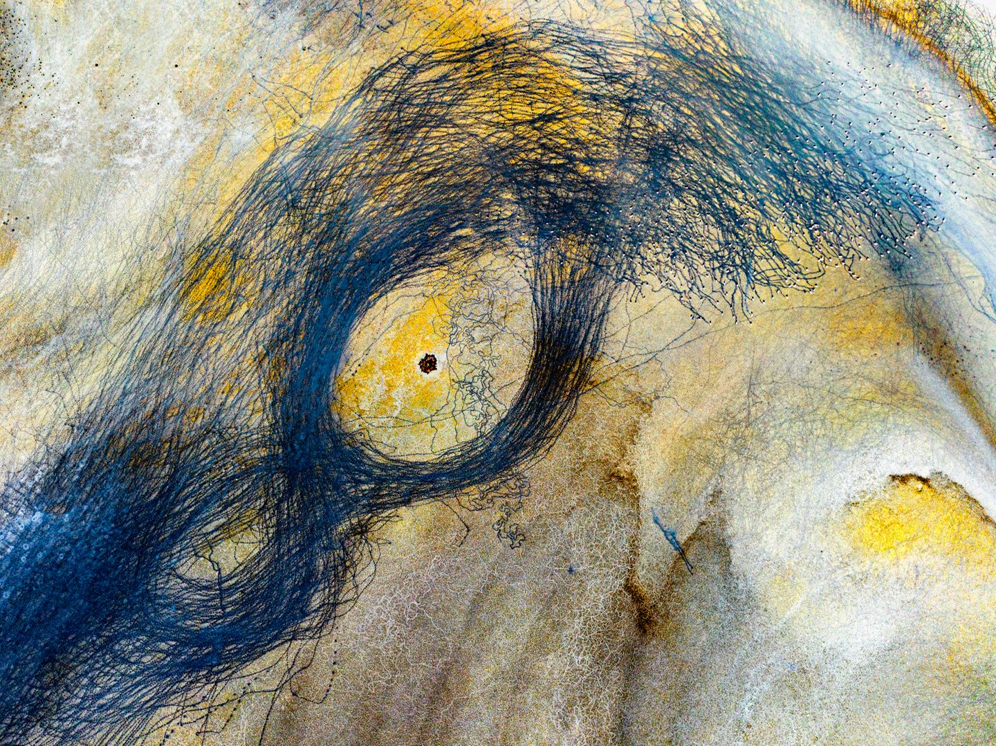 In der Dürre der Sommermonate sinkt der Wasserstand im Yarışlı-See der türkischen Provinz Burdur. Manchmal sogar so weit, dass er vollkommen austrocknet und nur ein salziges Moor hinterlässt. Vögel auf der Suche nach Nahrung erzeugen auf ihrer Wanderung interessante Formen auf dem ausgetrockneten Seeboden