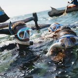  Im Dorf Ambolomailaka "ernten" Taucherinnen und Taucher ausgewachsene Seegurken. Die Aufzucht ist jedoch langwierig – und dauert 15 Monate