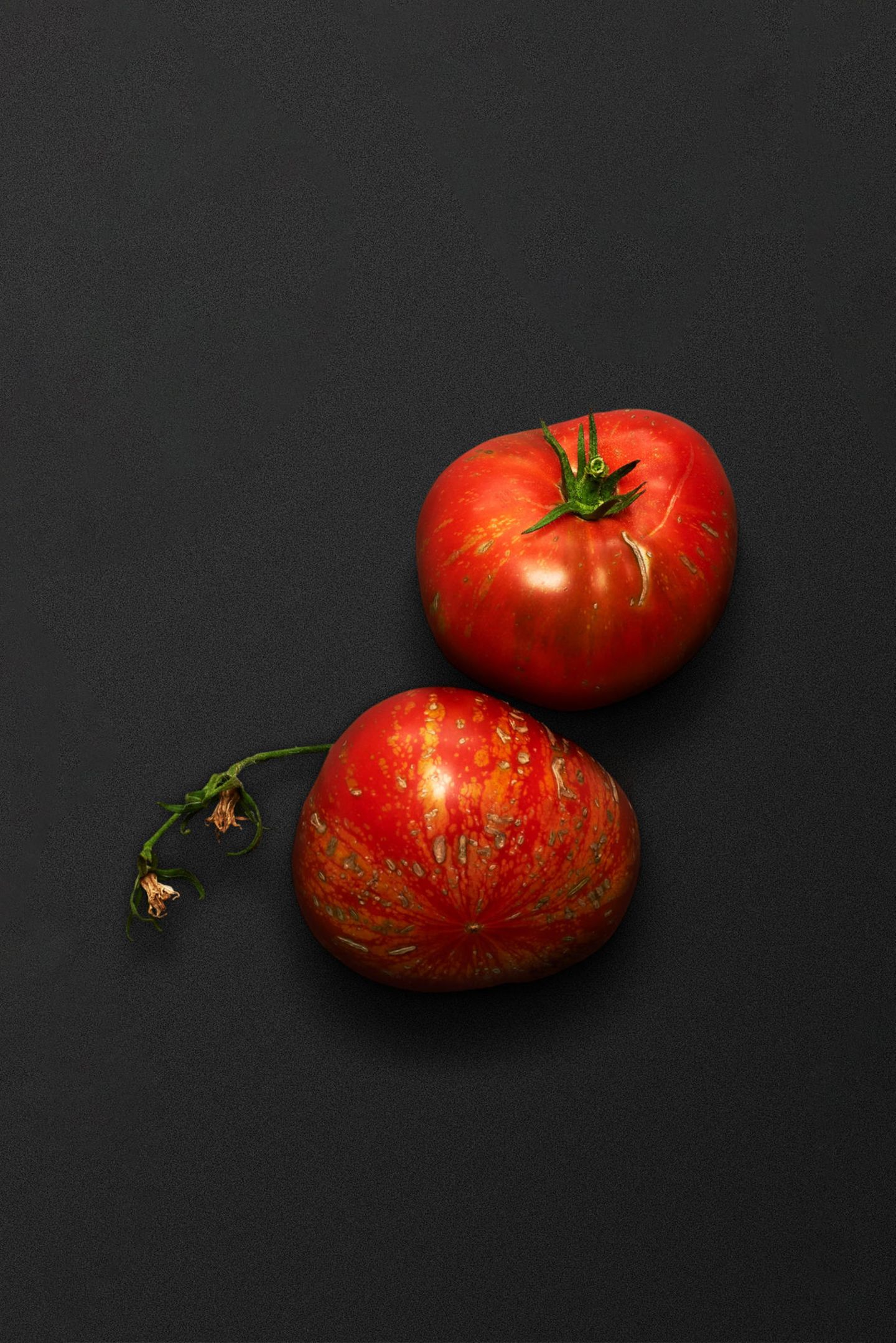 Geheimtipp für Genießer: Vom Zauber der vielfältigen Tomatensorten - [GEO]