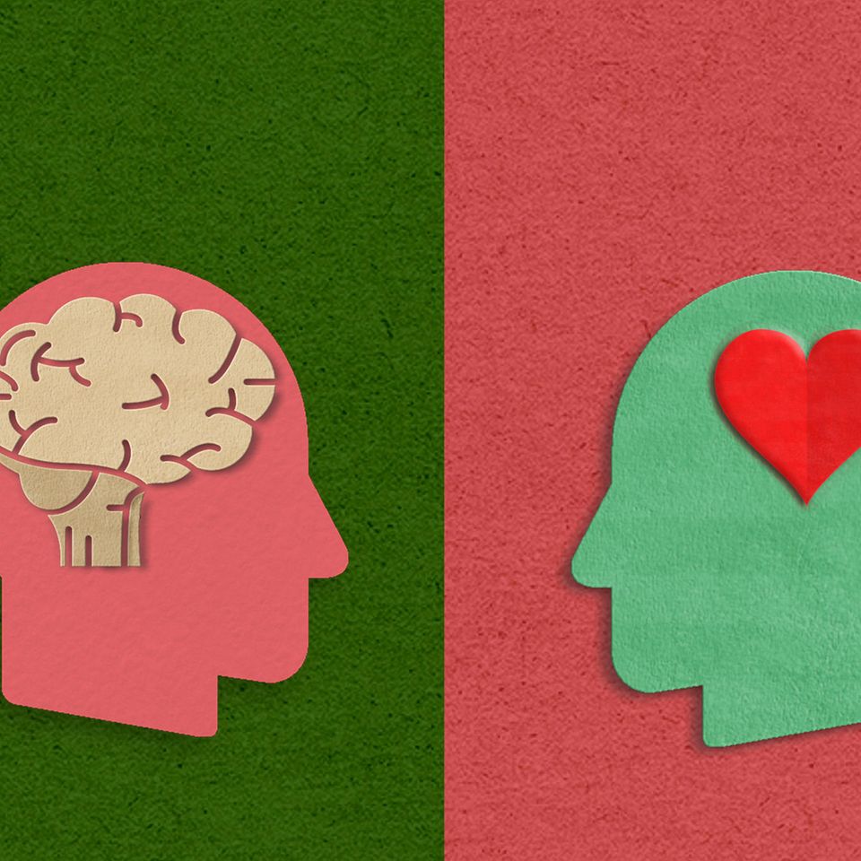 Um die Gefühle und Absichten eines Gegenübers zu entschlüsseln, konzentrieren wir uns vornehmlich auf seine Worte – und auf das Gesicht. Selbst feinste Regungen können wir spontan entschlüsseln