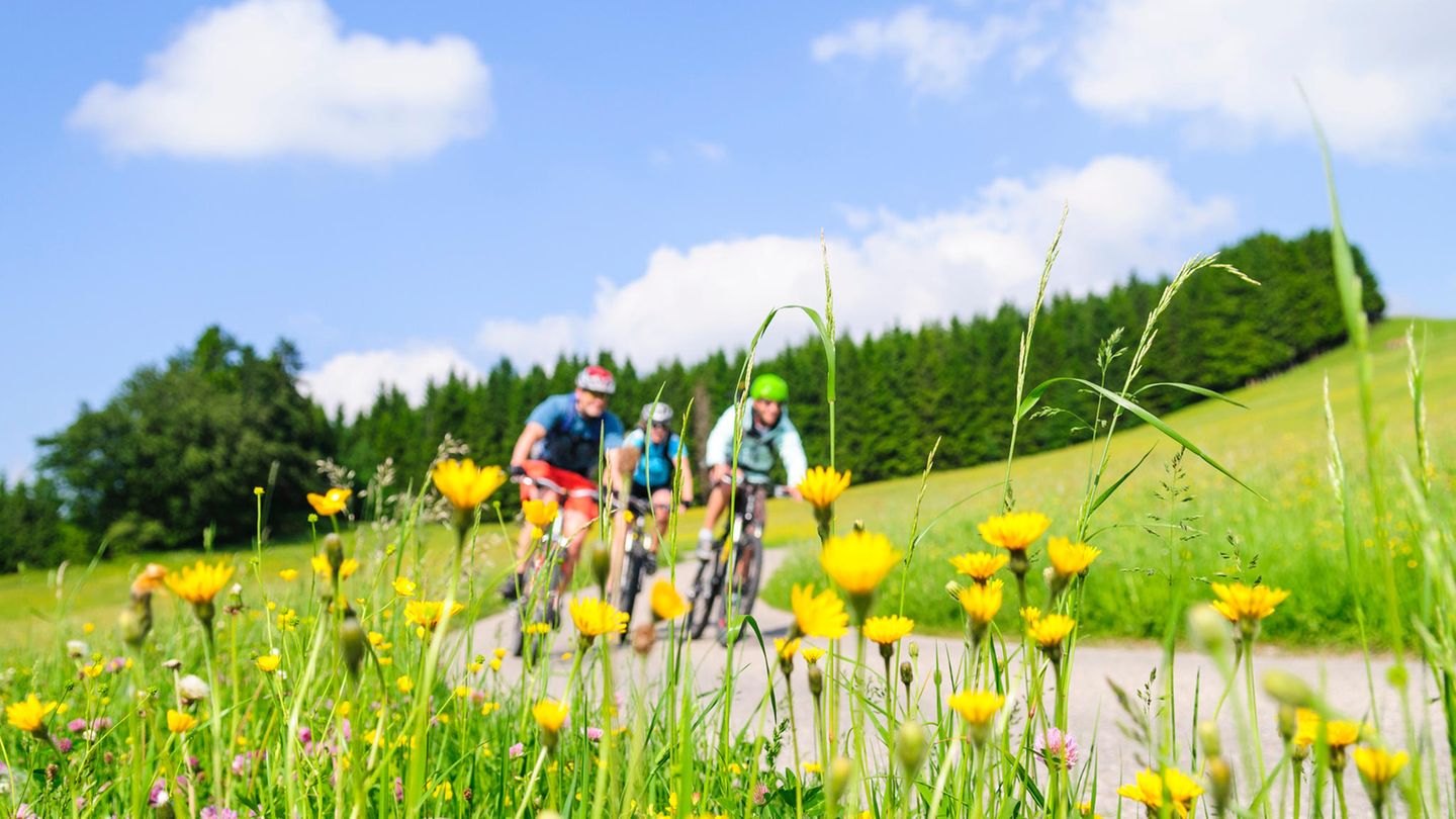 Radfahren im Frühling