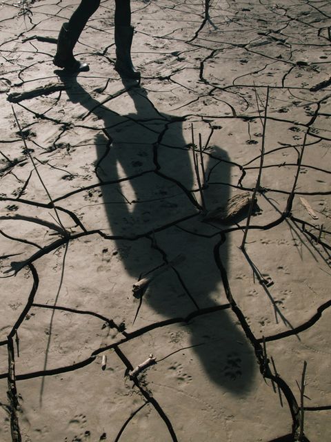 Die Klimakrise sorgt dafür, dass die Ungleichheit zwischen den Geschlechtern größer wird. Dabei ginge es auch anders