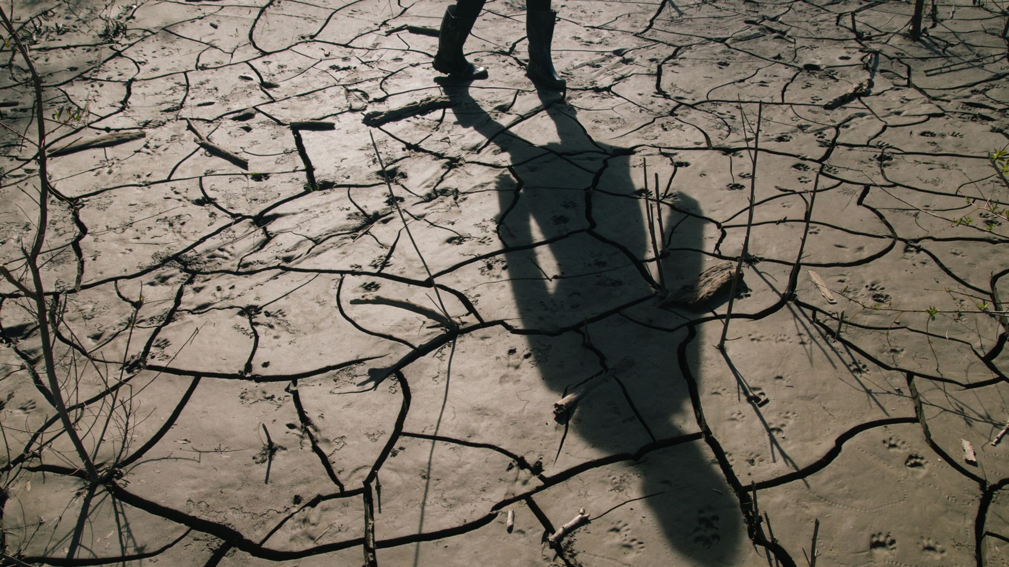 Die Klimakrise sorgt dafür, dass die Ungleichheit zwischen den Geschlechtern größer wird. Dabei ginge es auch anders