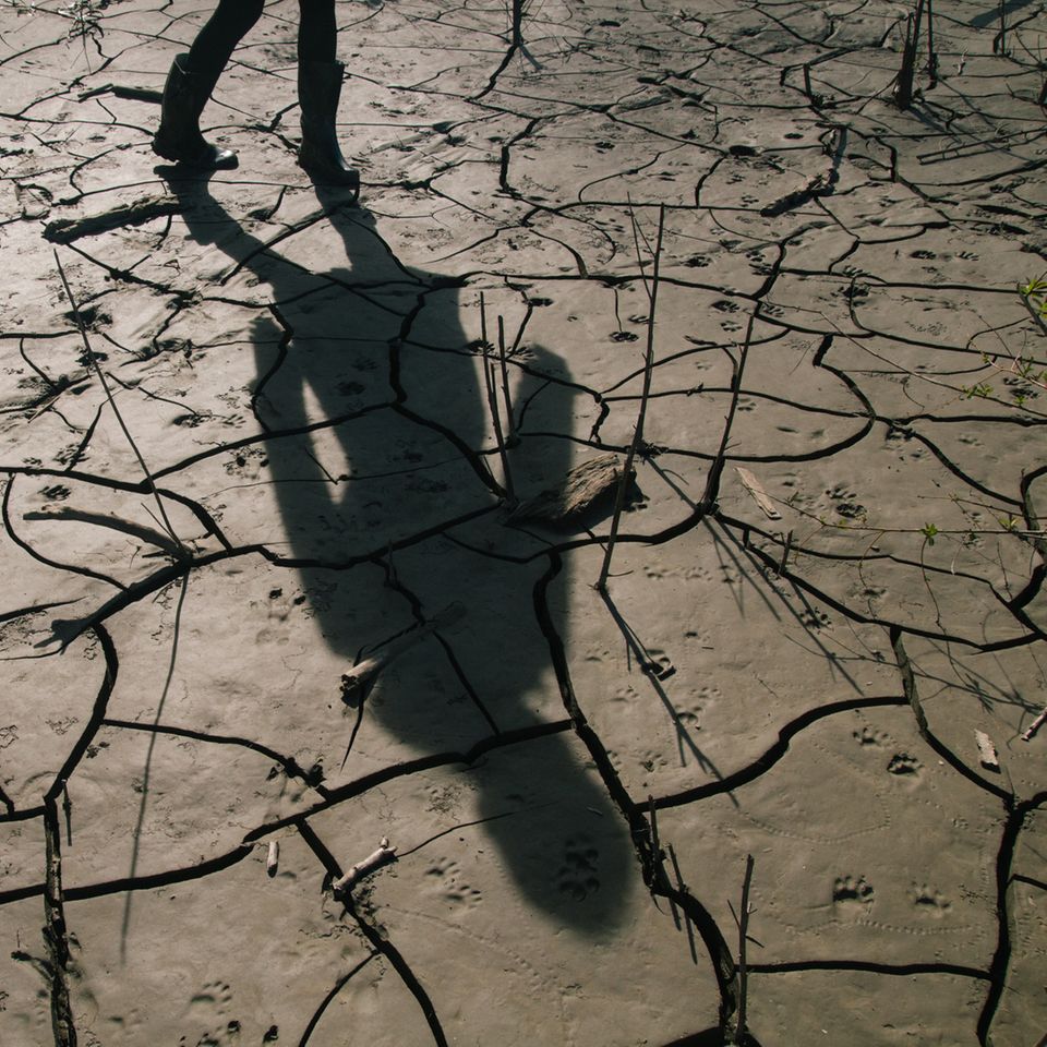 Die Klimakrise sorgt dafür, dass die Ungleichheit zwischen den Geschlechtern größer wird. Dabei ginge es auch anders