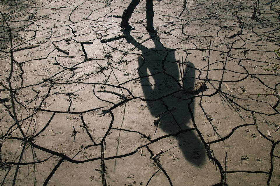 Die Klimakrise sorgt dafür, dass die Ungleichheit zwischen den Geschlechtern größer wird. Dabei ginge es auch anders  1.5004