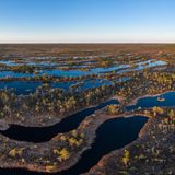 Übersicht vom Moor im Kemeri Nationalpark