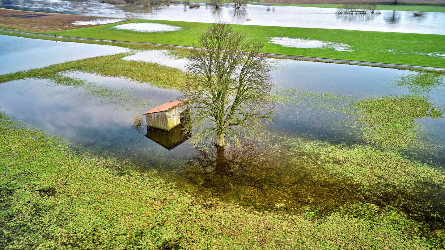 Landunter an der Weser: Im Februar 2024 stehen bei Holzminden ganze Landstriche unter Wasser