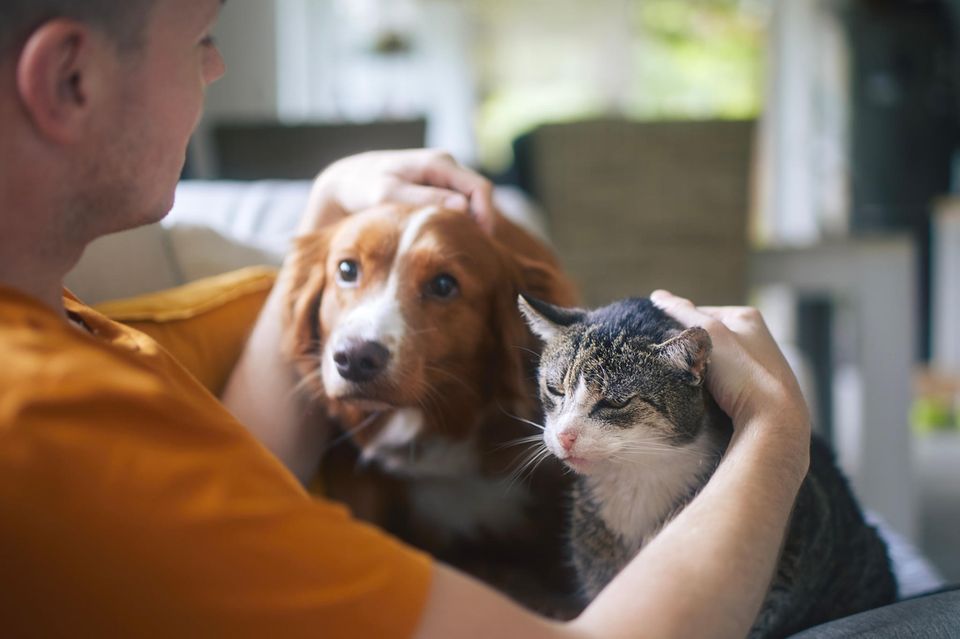 junger Mann streichelt mit je einer Hand den Kopf seines Hundes und seiner Katze