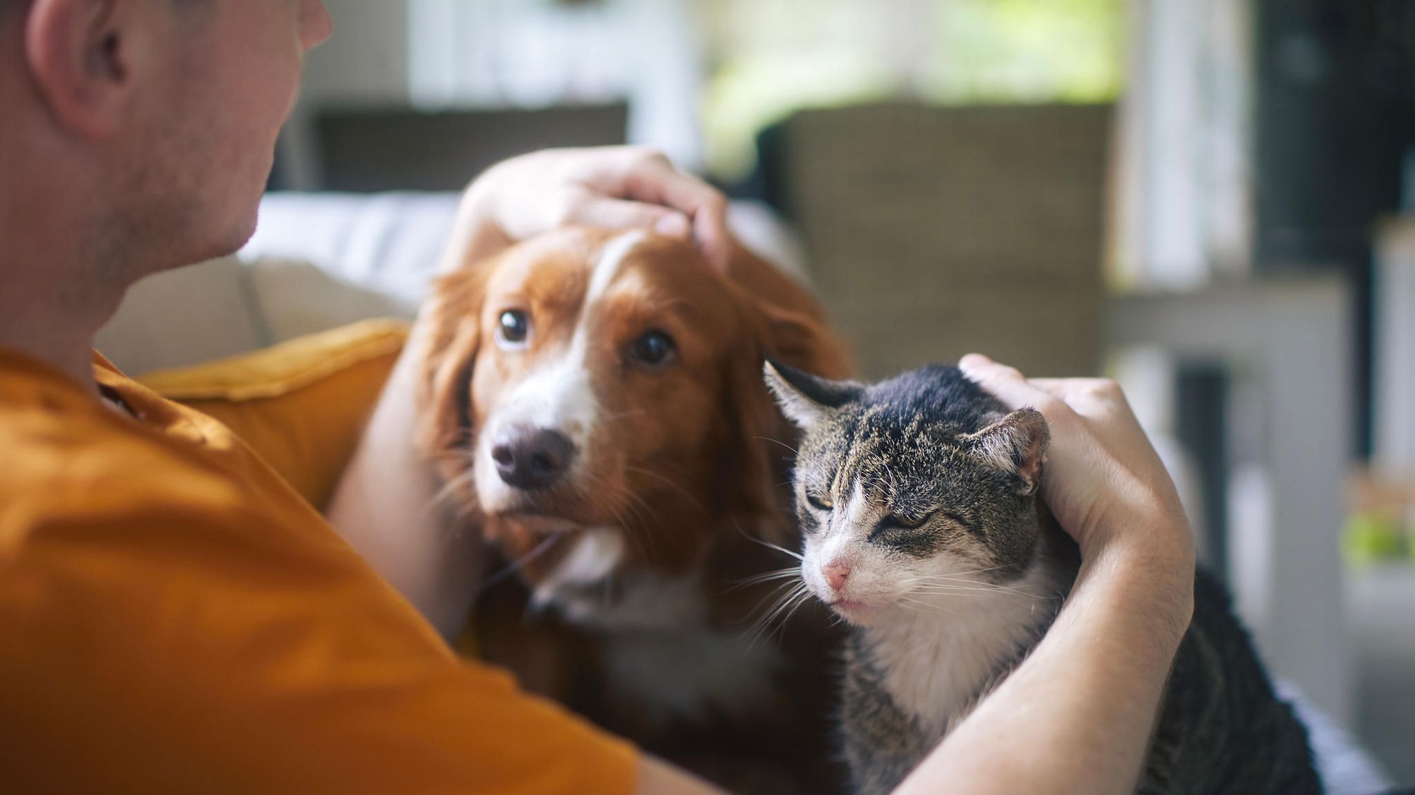 junger Mann streichelt mit je einer Hand den Kopf seines Hundes und seiner Katze